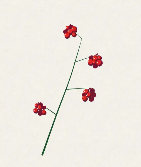 A twig with red berries